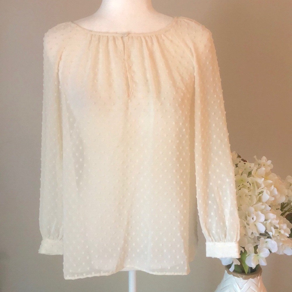 🌷 J. Crew sheer blouse